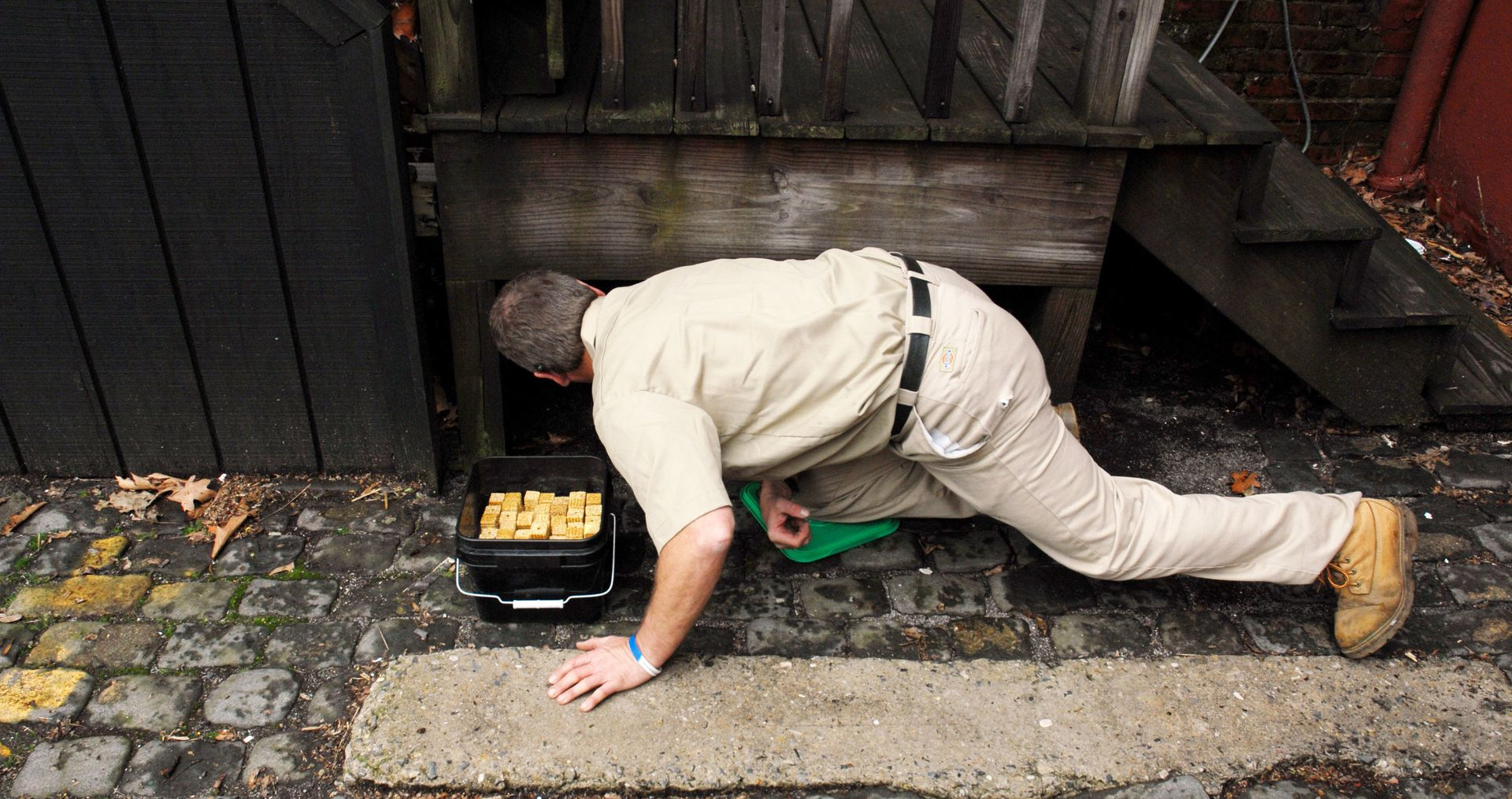 A person in tan work clothes kneels on a cobblestone surface, placing a black container filled with food under a deck.