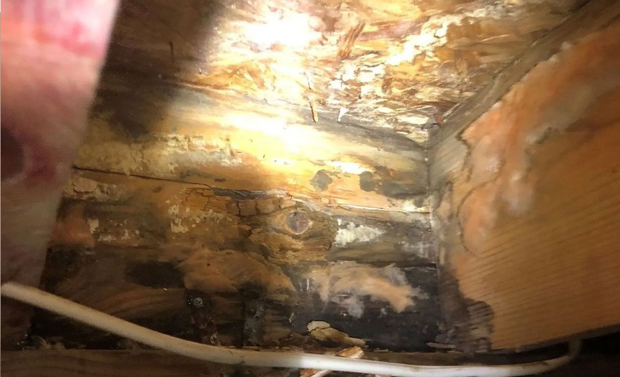 Close-up of water-damaged wooden structural beams and subflooring with mold growth and insulation remnants.