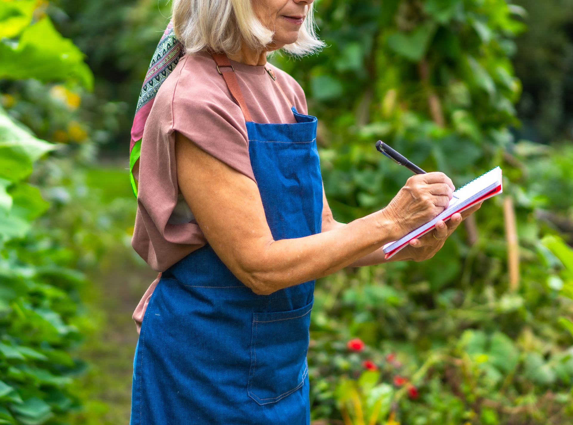 photo of garden center
