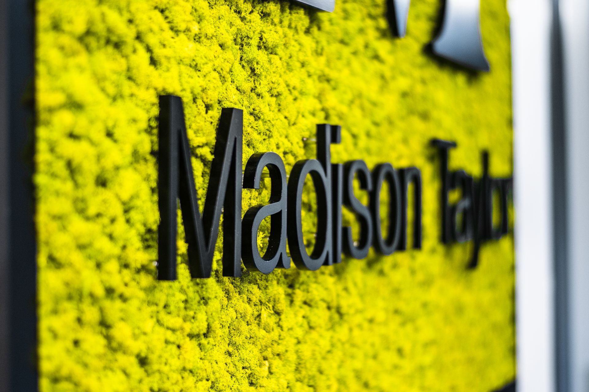 Introducing Moss Signage: A Unique and Eye-Catching Signage Option