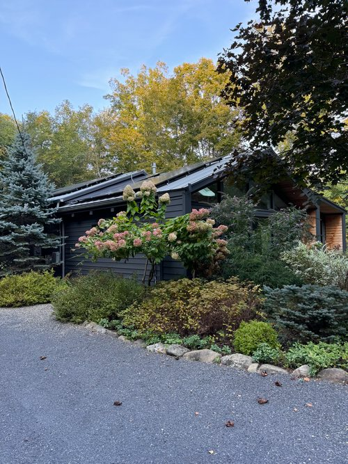 A house with a driveway leading to it is surrounded by trees and bushes.