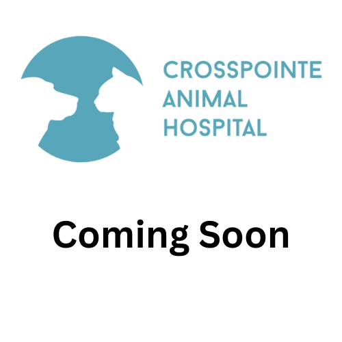 Logo for Crosspointe Animal Hospital, with silhouettes of a dog and cat inside a teal circle.
