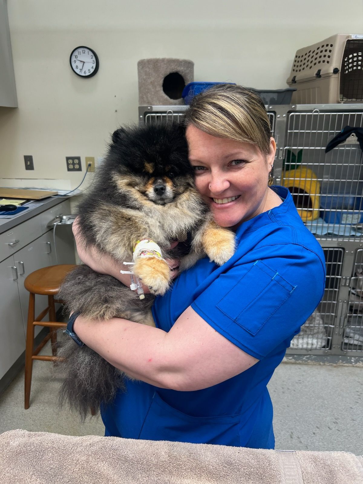 Woman in blue scrubs smiles while holding a fluffy Pomeranian dog in a vet clinic.