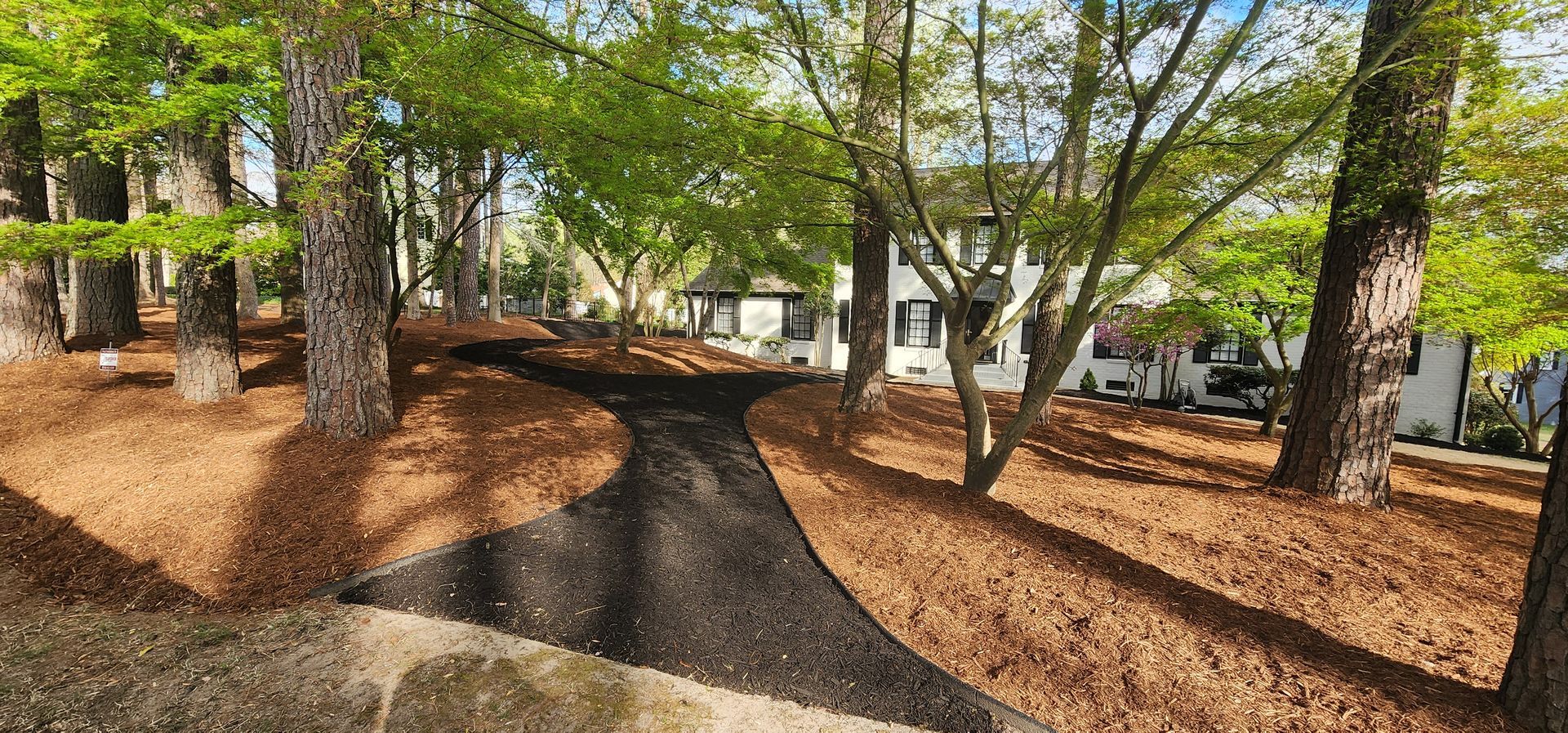 Wooded park path curving through trees and fallen leaves near buildings