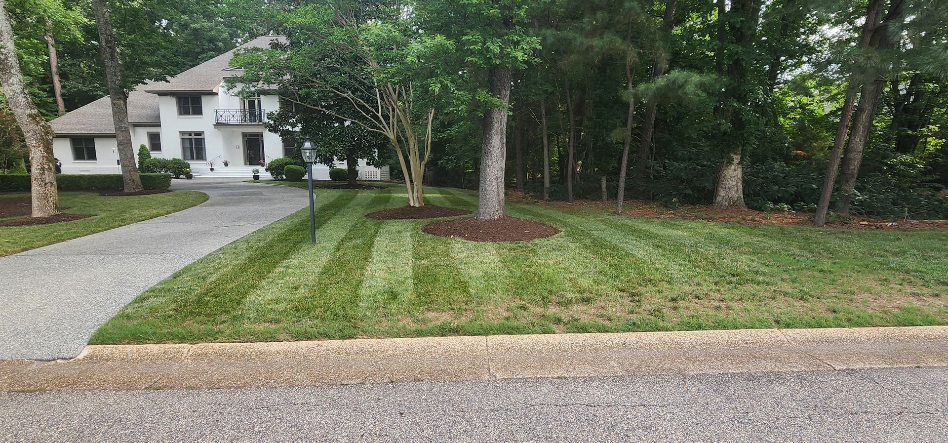 White house behind a tree-lined gravel driveway and lawn under overcast light