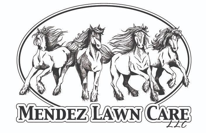 Mendez Landscaping LLC