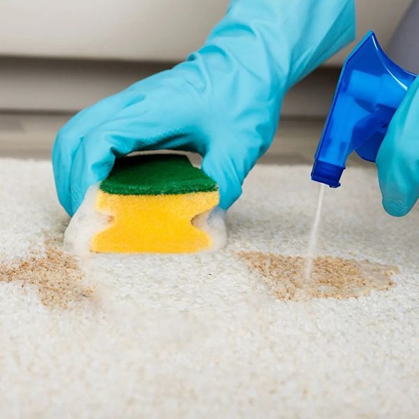 Special Touch Carpet Cleaners