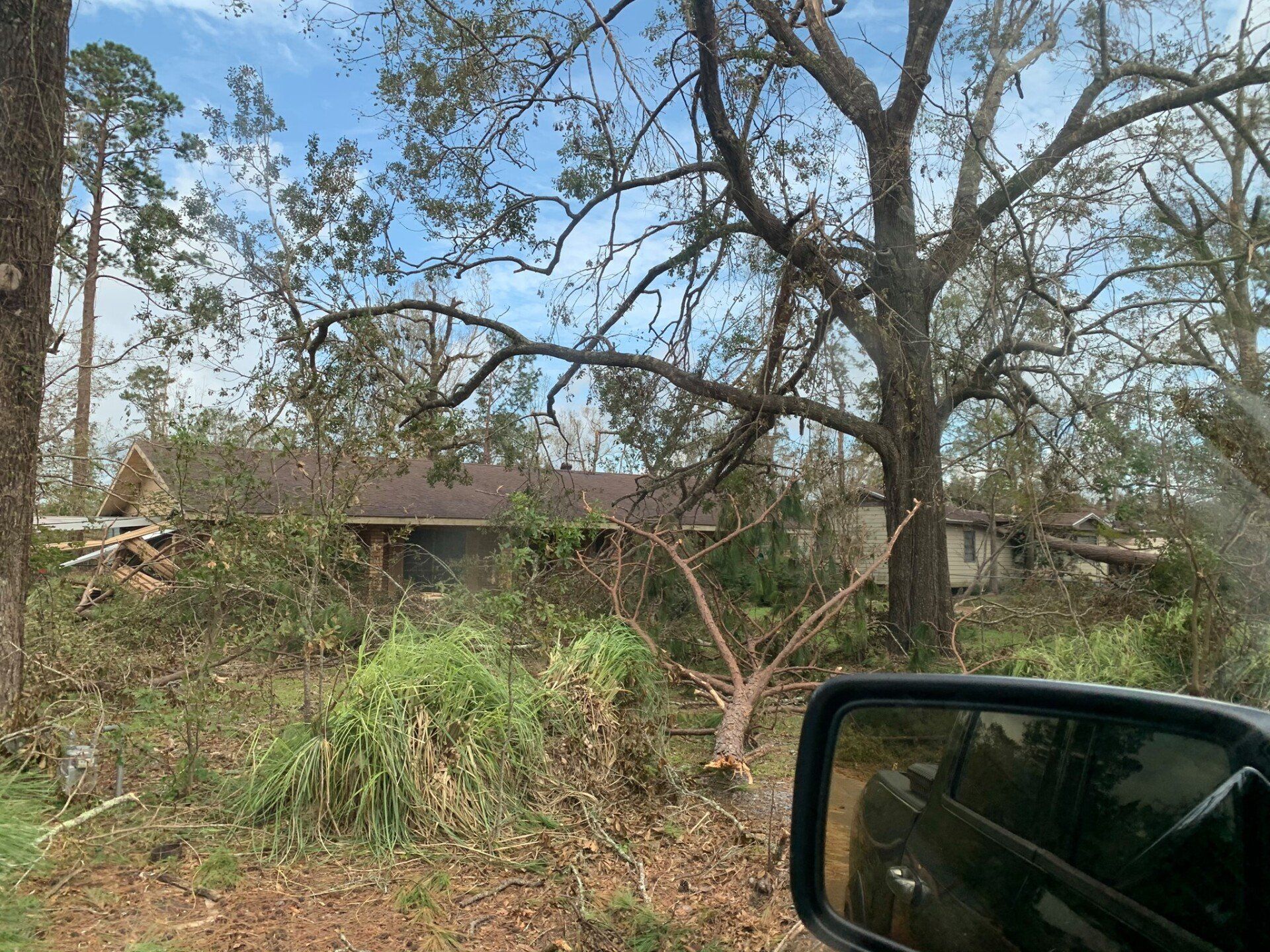 Storm Damage | Fallen Trees | Ormond Beach, FL