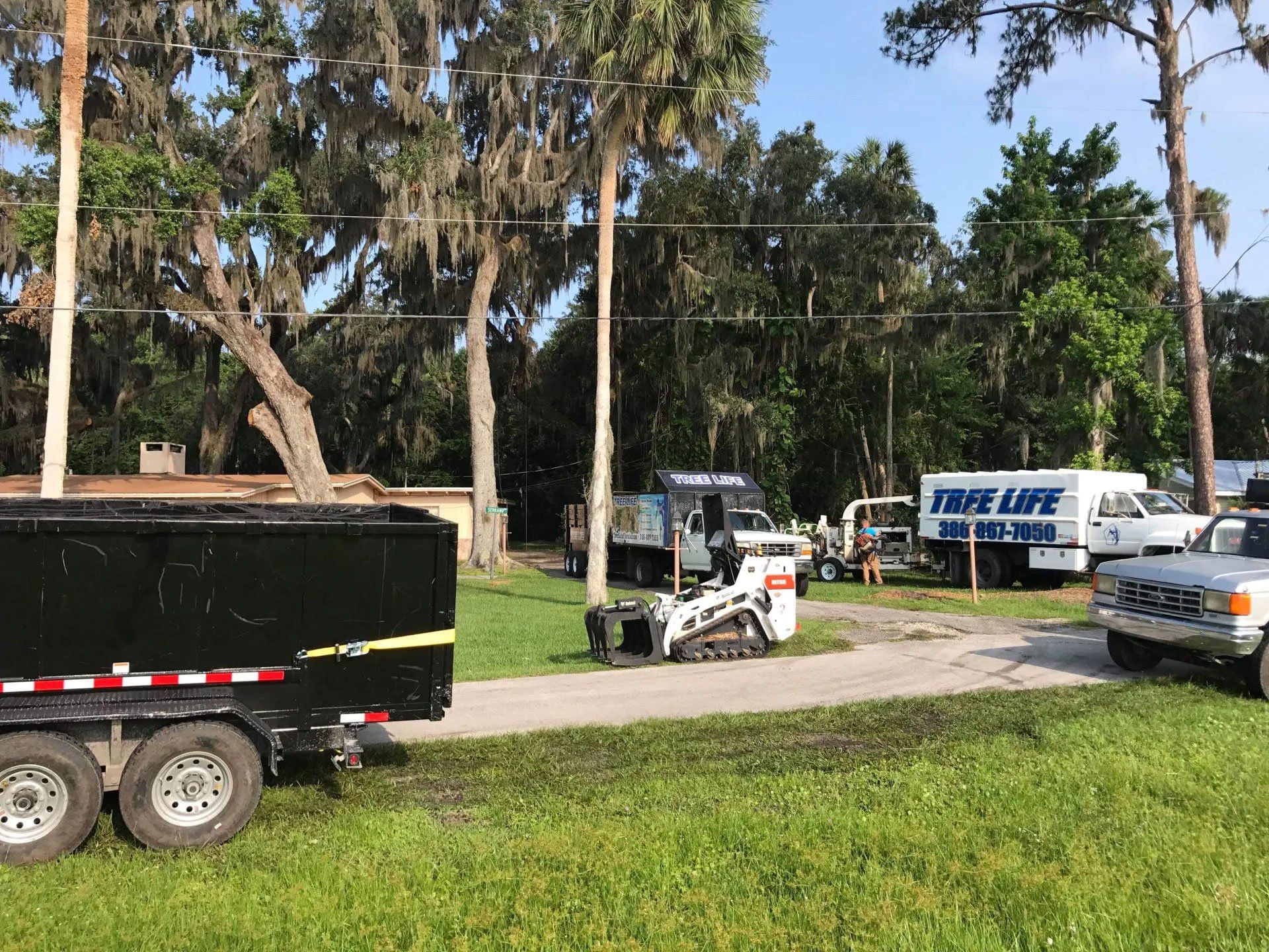 Tree Trimming and Pruning