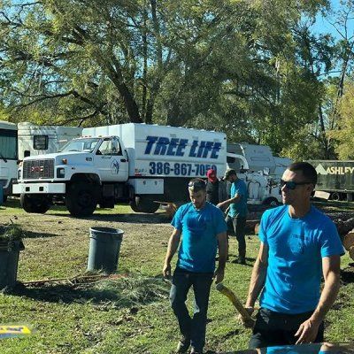 Tree Services