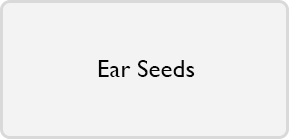 Ear Seeds