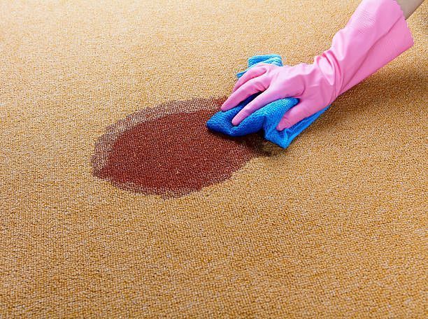 Pink-gloved hand wiping a brown stain on a tan carpet with a blue cloth.