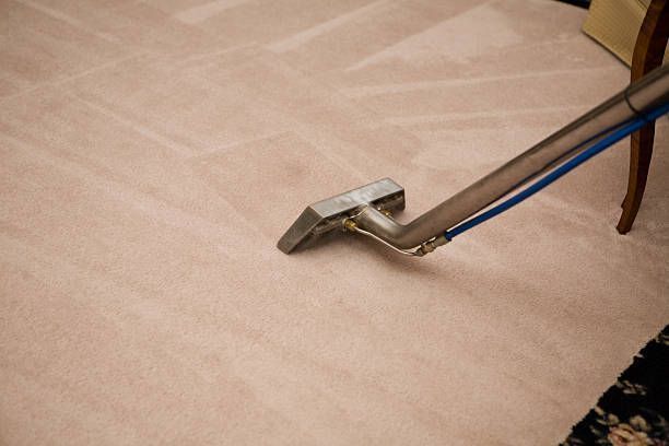 Carpet being cleaned with a professional cleaning tool. Light pink carpet and blue hose visible.