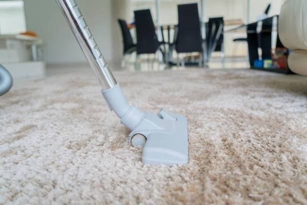 Vacuum cleaner head on a beige shag carpet in a living room.