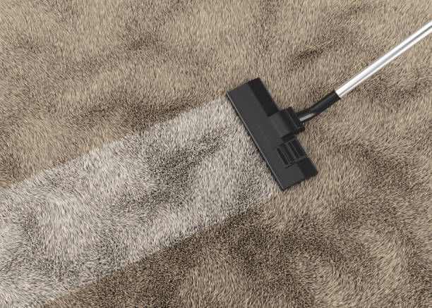Vacuum cleaner cleaning a brown carpet, leaving a clean white strip.
