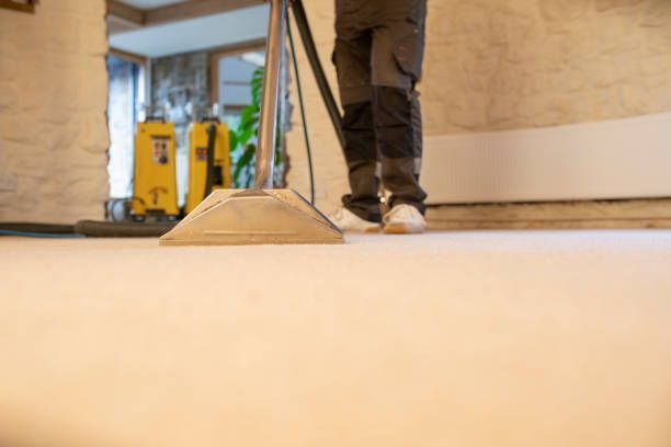 Person cleaning a light-colored carpet with an industrial vacuum.