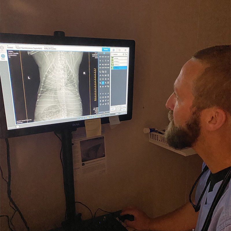 Digital radiology