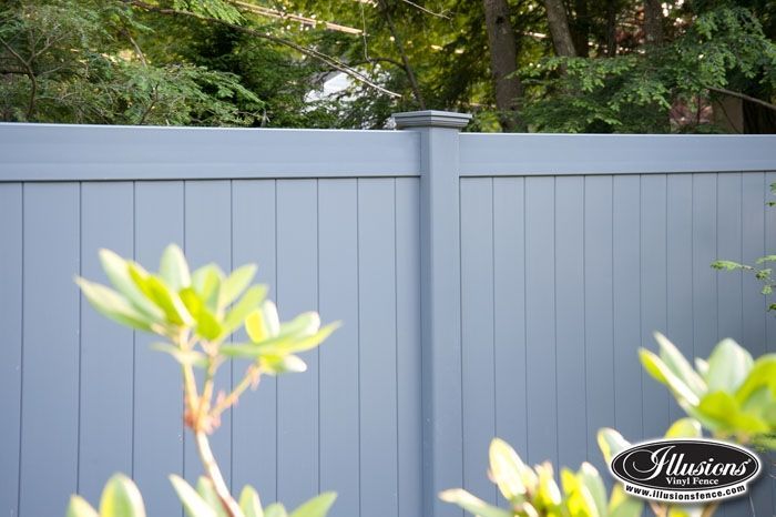 A blue fence with a plant in front of it
