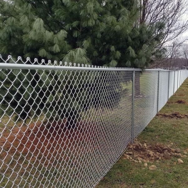 A chain link fence is surrounded by grass and trees.