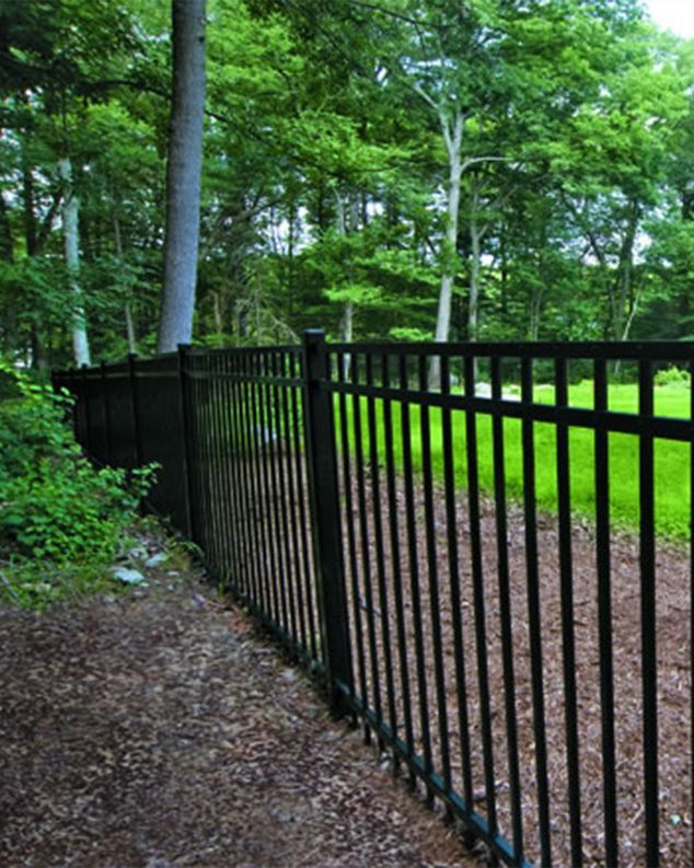 A black fence surrounds a grassy field with trees in the background