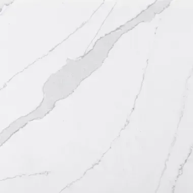 White marble with gray veining pattern.