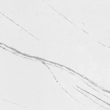 White marble slab with gray veining.