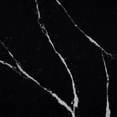 Black quartz countertop with white veining.