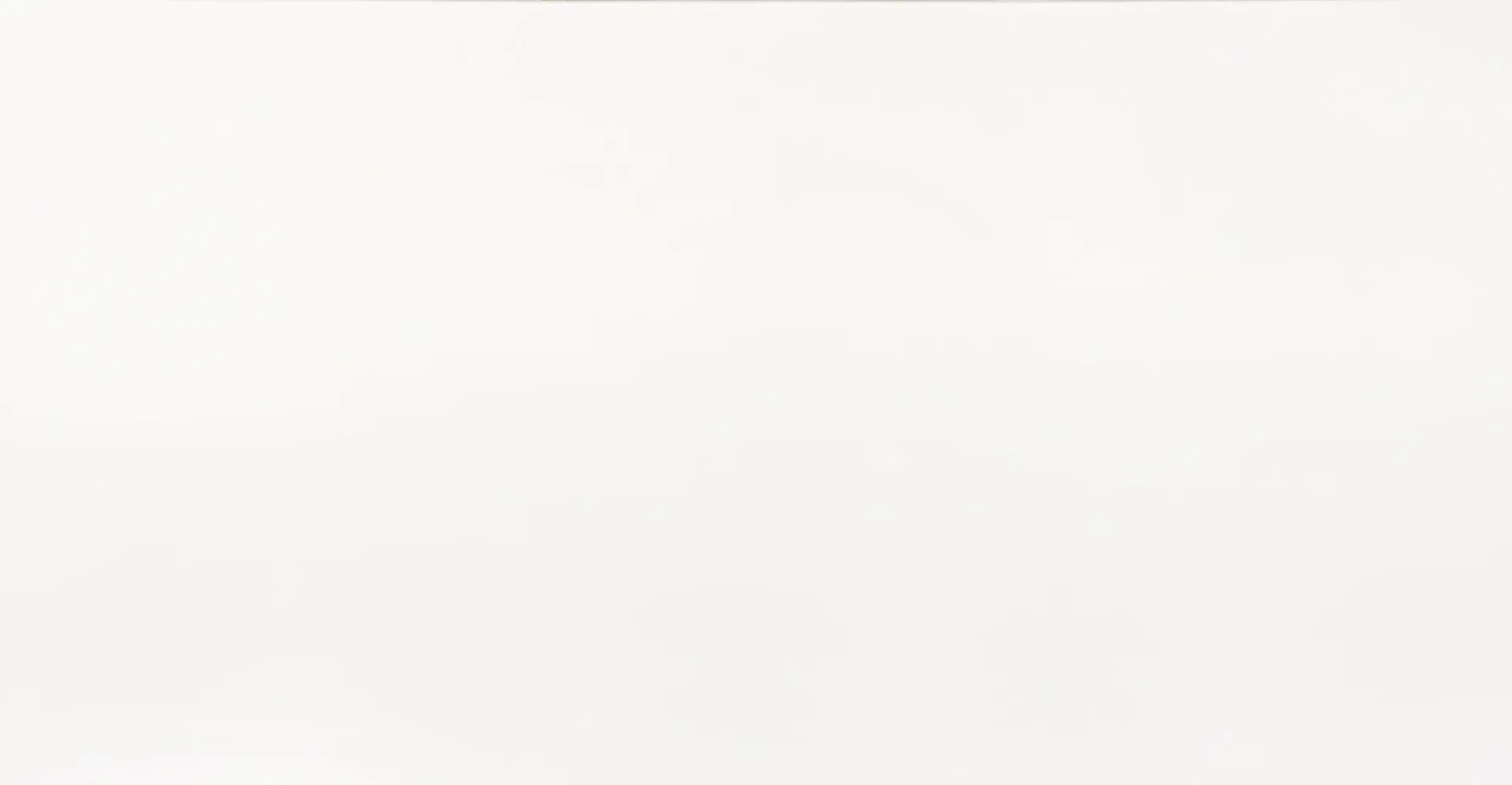 White background.