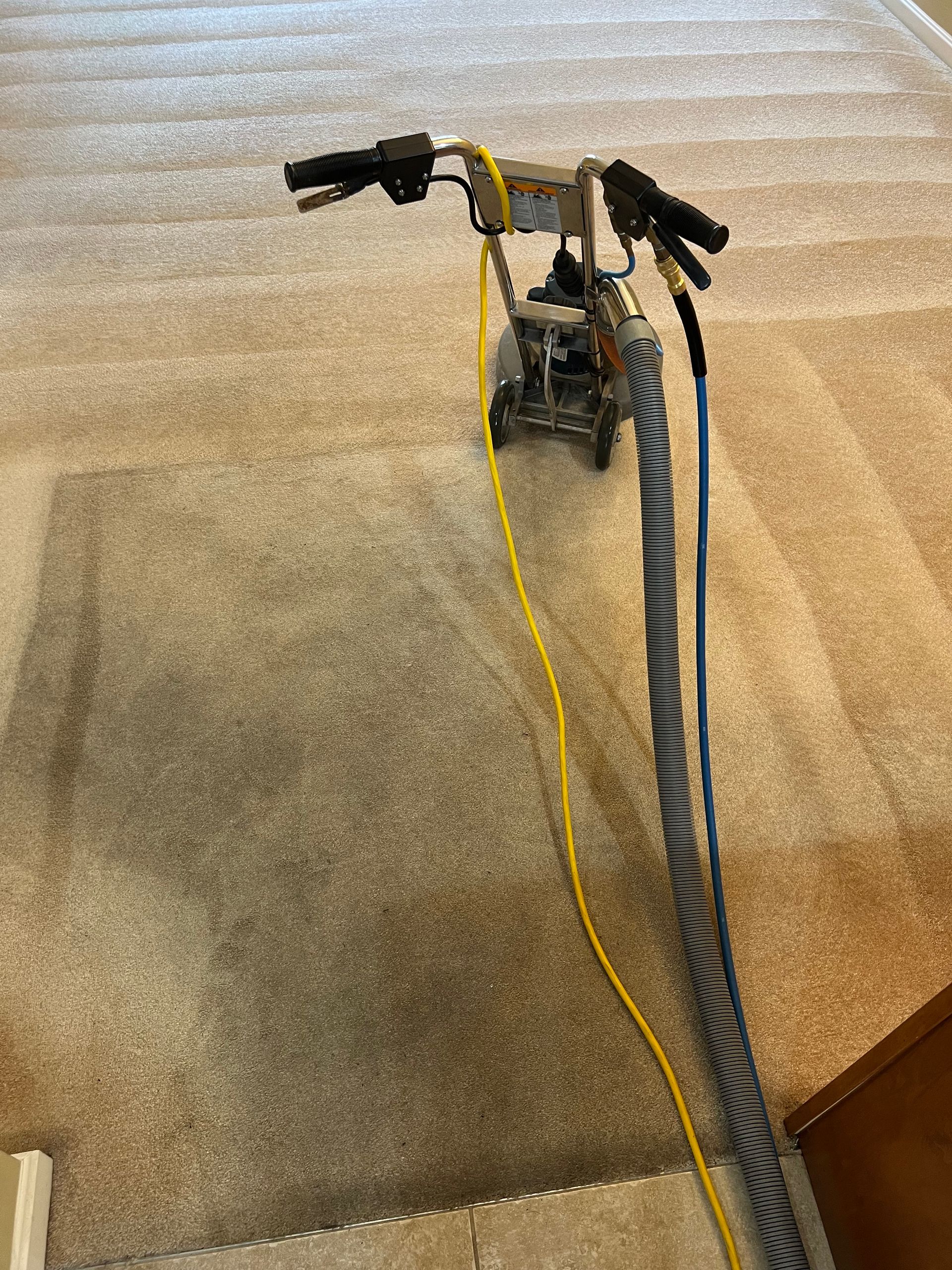 Carpet Cleaning