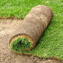 rolled sod on the ground