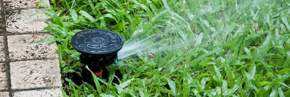 lawn irrigation