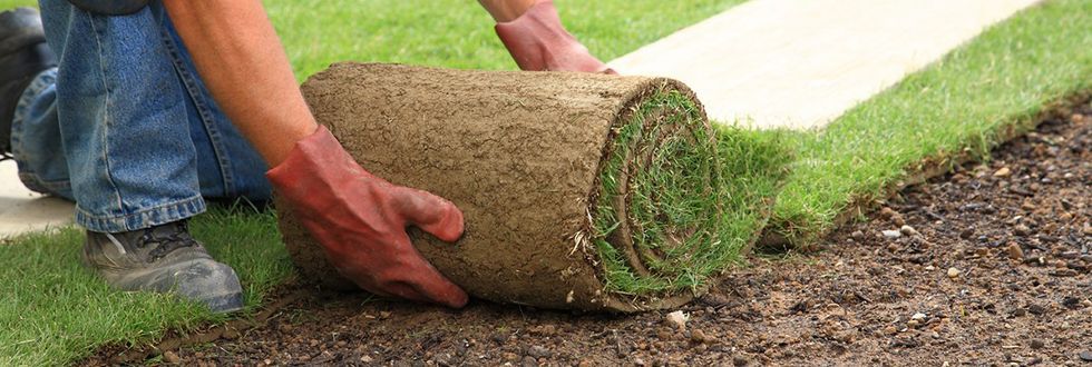 man laying sod on ground