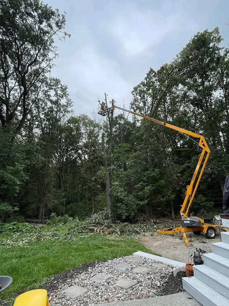 A yellow crane is cutting a tree in a backyard.
