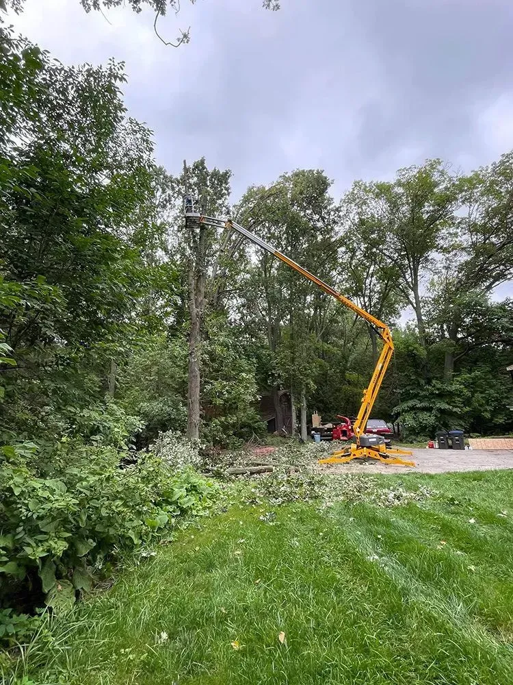 A crane is cutting a tree in a yard.