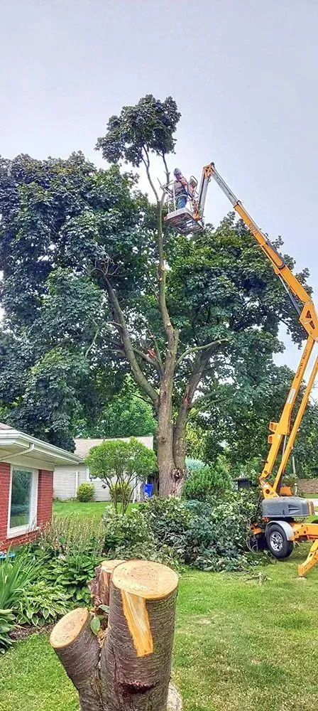 A tree is being cut down by a crane in front of a house.