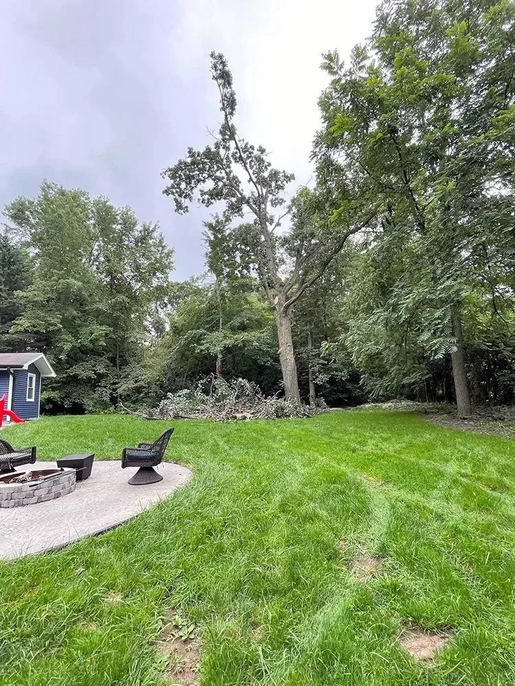 A backyard with a fire pit and a shed in the background.