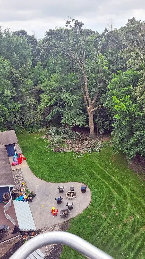 An aerial view of a backyard with a fire pit and trees.