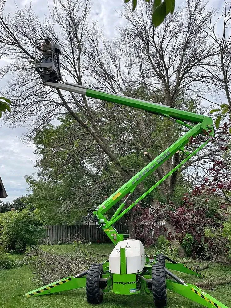 A green aerial lift is cutting a tree in a yard.