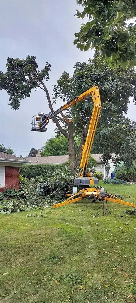 A yellow crane is cutting a tree in a yard.