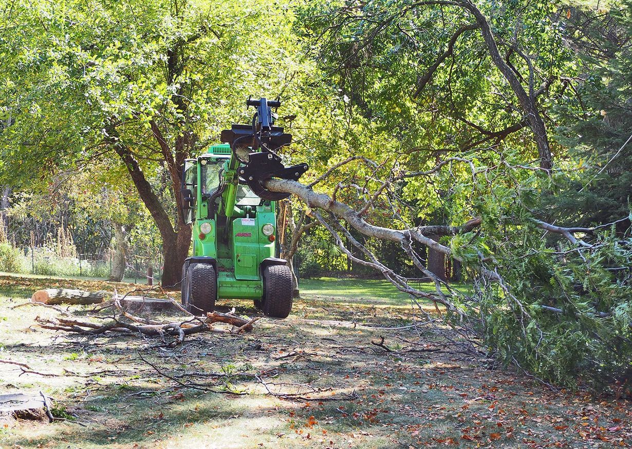 Trustfall Tree Service