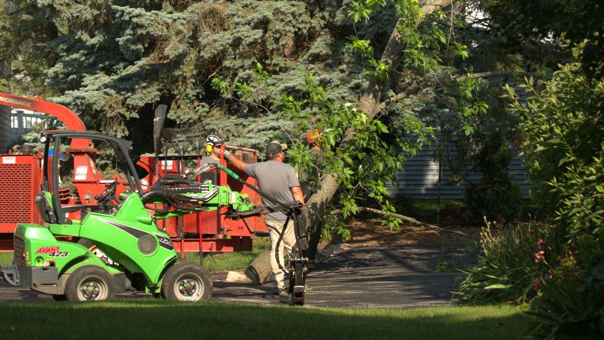 Trustfall Tree Service