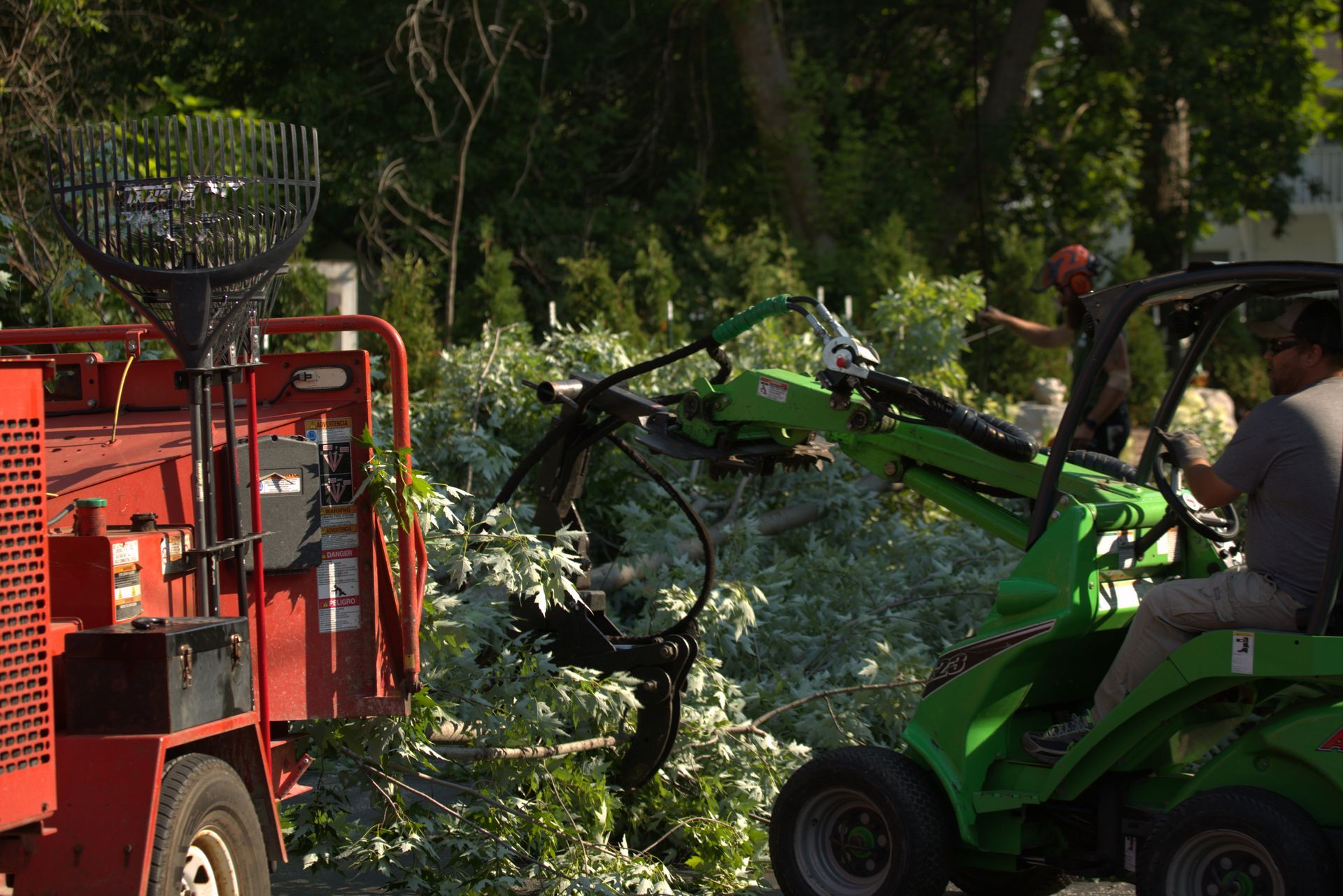 Trustfall Tree Service