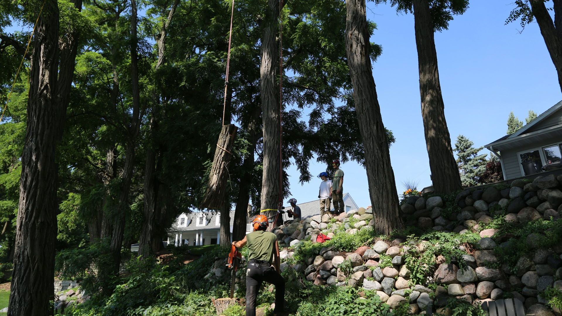 A man is cutting a tree with a crane in front of a house.