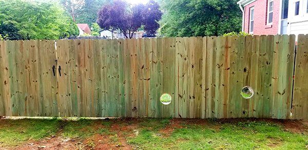 Wood fence dog window