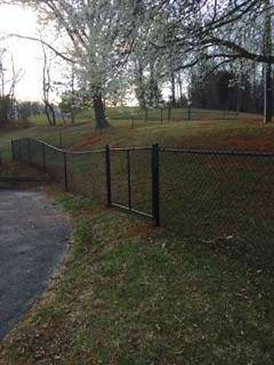 Chain link
