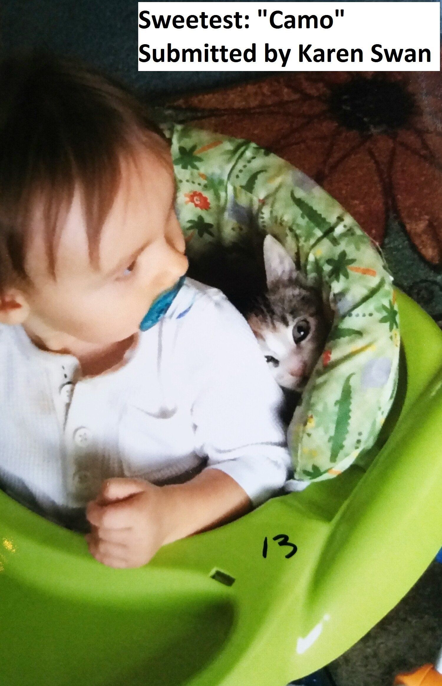 Cat and child