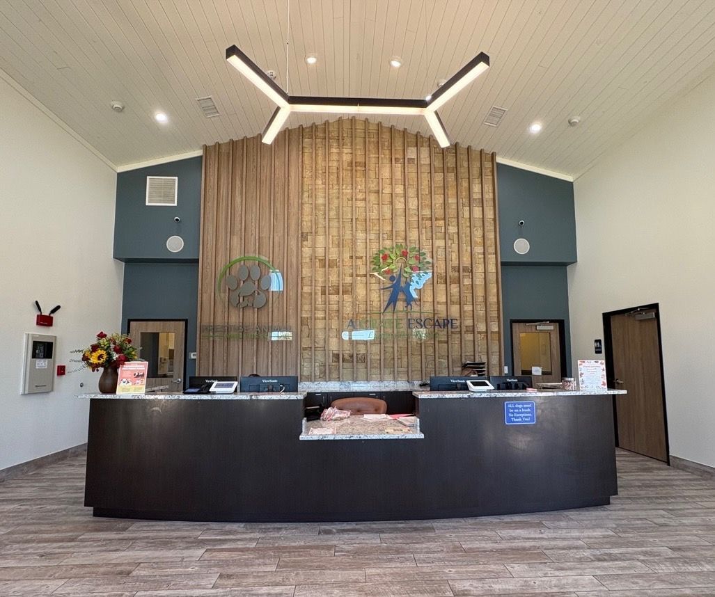 A large room with a wooden wall and a reception desk.