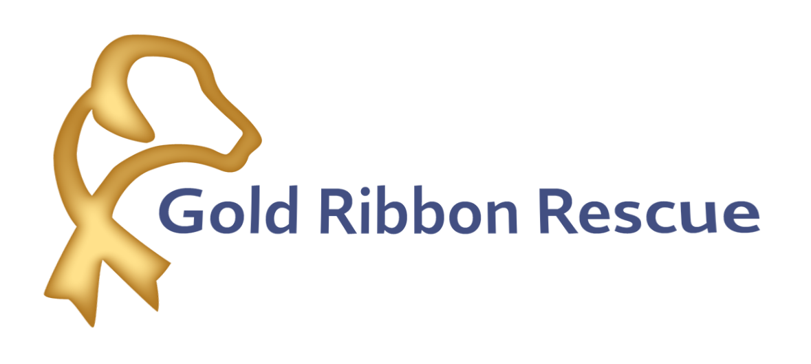 Gold Ribbon Rescue