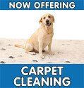 Carpet Cleaning