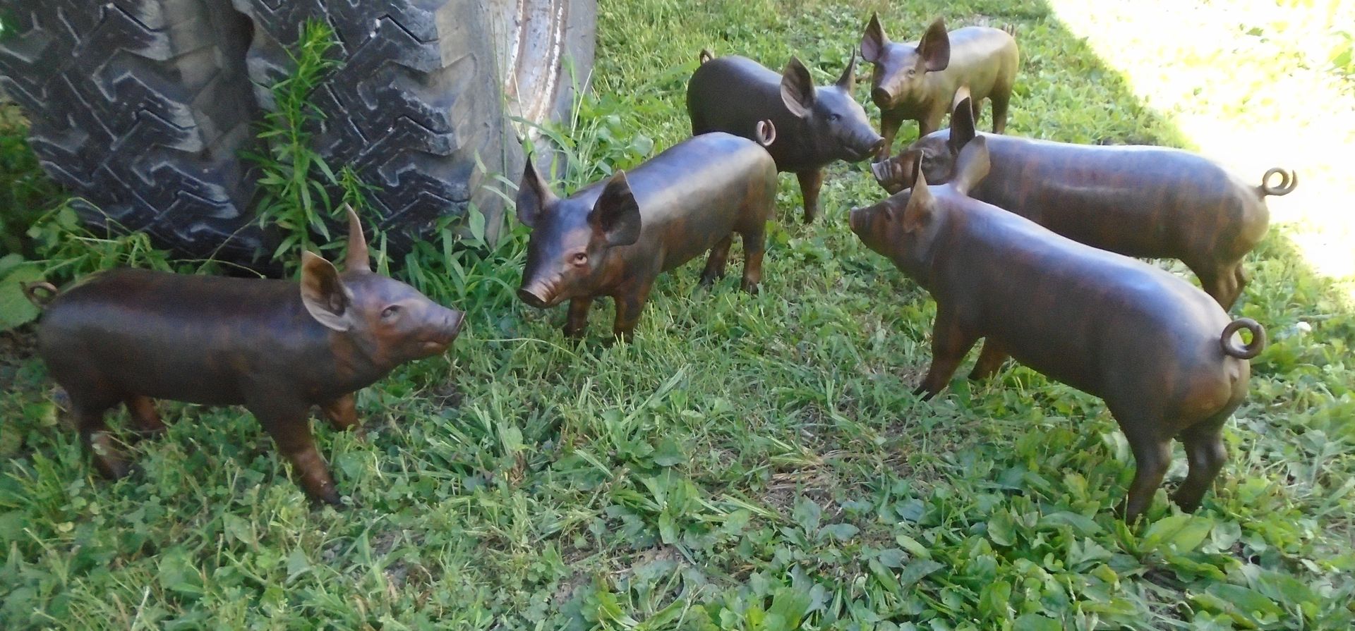 Five piglets sniffing grass near a tree in a green outdoor setting